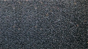 Amaranth seed, black