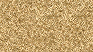 Amaranth seed, pale brown