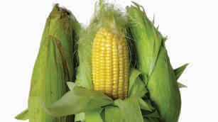 Maize, tender, sweet