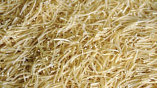 Wheat, vermicelli