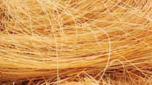 Wheat, vermicelli, roasted