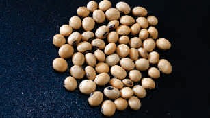 Soya bean, brown