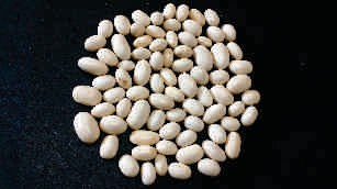 Soya bean, white