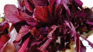 Amaranth leaves, red mix