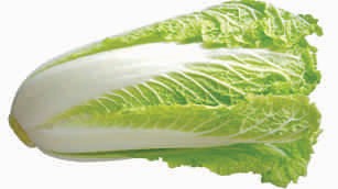 Cabbage, Chinese