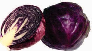 Cabbage, violet