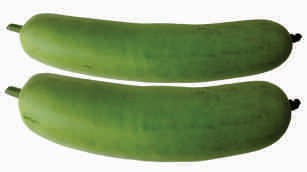 Bottle gourd, elongate, pale green