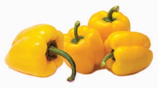 Capsicum, yellow