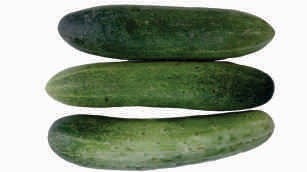 Cucumber, green, elongate