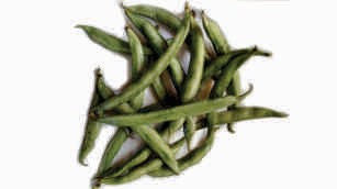 Field beans, tender, lean