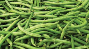 French beans, country