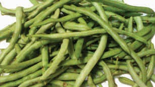 French beans, hybrid