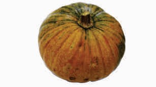 Pumpkin, orange, round