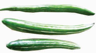 Snake gourd, long, dark green