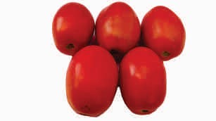 Tomato, ripe, hybrid