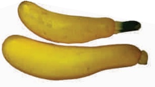 Zucchini, yellow