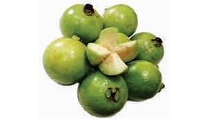 Guava, white flesh