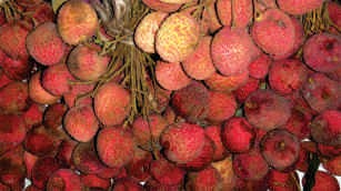 Litchi