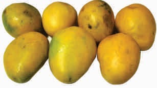 Mango, ripe, banganapalli