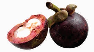 Mangosteen