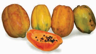 Papaya, ripe