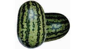 Water melon, pale green