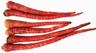 Carrot, red