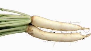 Radish, elongate, white skin