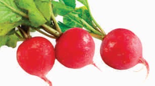 Radish, round, red skin