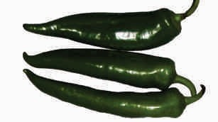 Chillies, green-1