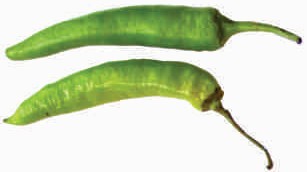 Chillies, green-2