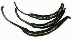 Chillies, green-4