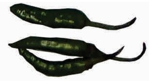 Chillies, green-6