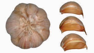 Garlic, small clove