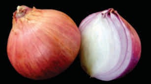 Onion, big