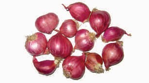 Onion, small