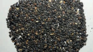 Gingelly seeds, black