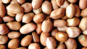 Ground nut
