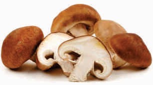 Shiitake mushroom, fresh