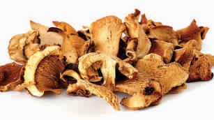 Oyster mushroom, dried