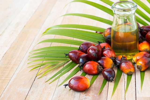 Palm oil